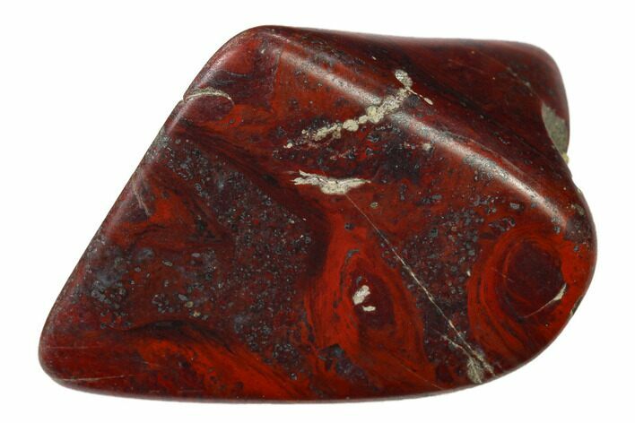 Polished Stromatolite (Collenia) - Minnesota #155584